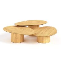 Conjunto Mesa De Centro Orgânica Stone Em Madeira Damasco - 3