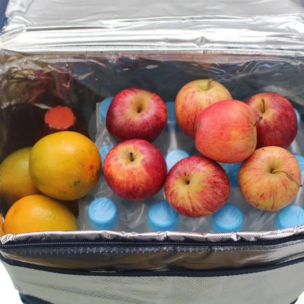 Bolsa Térmica 17l Azul - 6
