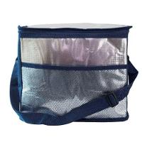 Bolsa Térmica 17l Azul - 7