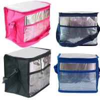 Bolsa Térmica 17l Azul - 10