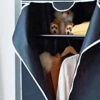 Guarda Roupa Portátil Organizador Tnt Ferro Plástico Compact - 9