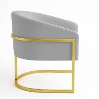 Poltrona Sala Decorativa Industrial Dourada Kit 2 Arielle Suede Cinza - 5