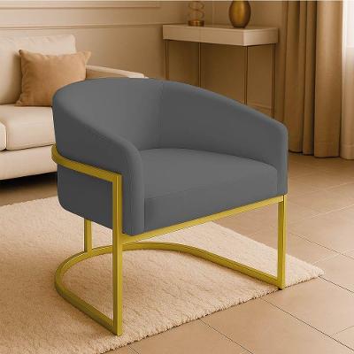 Poltrona Sala Decorativa Industrial Dourada Arielle Suede Cor Grafite