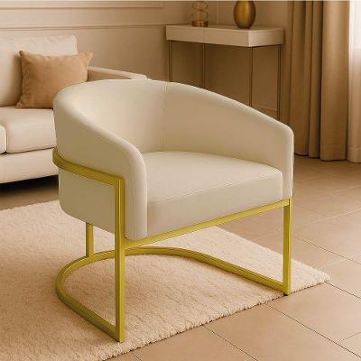 Poltrona Sala Decorativa Industrial Dourada Arielle Suede Cor Bege