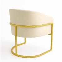 Poltrona Sala Decorativa Industrial Dourada Arielle Suede Cor Bege - 6