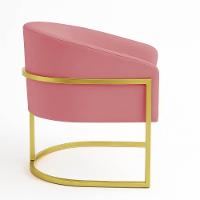 Poltrona Sala Decorativa Industrial Dourada Kit 2 Arielle Suede Cor Rose - 6