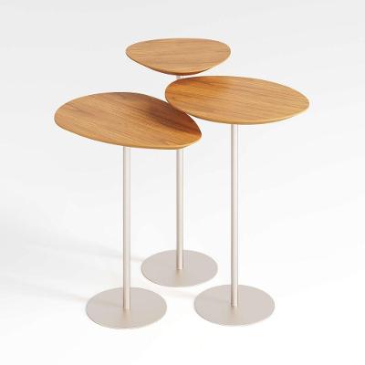 Conjunto De 3 Mesas Laterais Orgânicas Kaleo Base Champanhe Tampo Mel