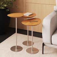 Conjunto De 3 Mesas Laterais Orgânicas Kaleo Base Champanhe Tampo Mel - 3