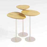 Conjunto De 3 Mesas Laterais Orgânicas Kaleo Base Champanhe Tampo Damasco - 1