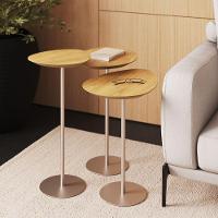 Conjunto De 3 Mesas Laterais Orgânicas Kaleo Base Champanhe Tampo Damasco - 3