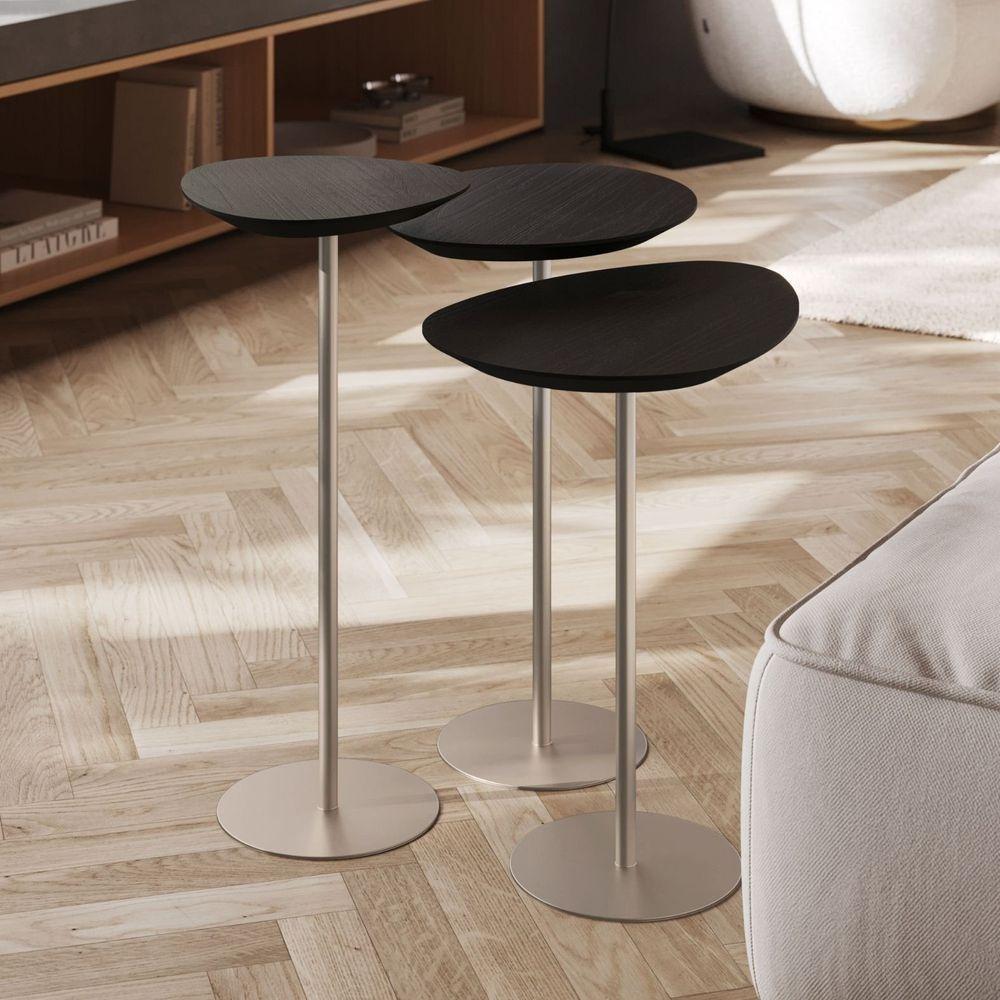 Conjunto De 3 Mesas Laterais Orgânicas Kaleo Base Champanhe Tampo Preto - 5