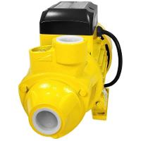 Bomba D'água Periférica 1 Cv 750w Monofásico Epb80-03 Evald Bivolt - 2