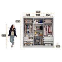 Guarda Roupa Casal Medelim 3 Portas 6 Gavetas Neve Com Espelho - Novo Horizonte - 2
