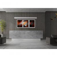 Quadro Decorativo Leão Com Moldura Branco - 2