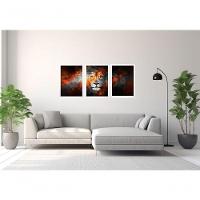 Quadro Decorativo Leão Com Moldura Branco - 3