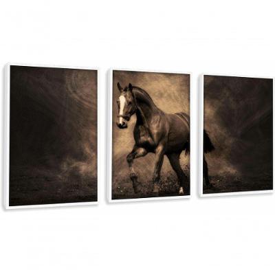 Quadros Decorativos Cavalo Moderno Animal Com Moldura Branco