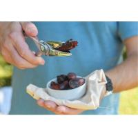 Descascador De Pinhão Modelo Tesoura Utily Domama - 3