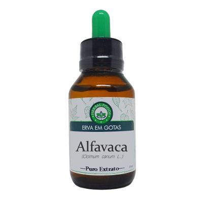 Alfavaca - Extrato 60ml (tintura Mãe)