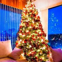 Pisca Pisca Natal Cordão 10 Metros 8 Funções 100 Lâmpadas Luz Amarelo