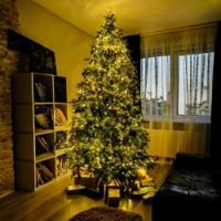 Pisca Pisca Natal Cordão 10 Metros 8 Funções 100 Lâmpadas Luz Amarelo - 6