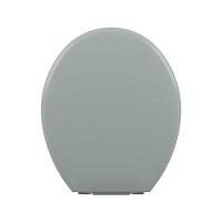 Assento Sanitário Plástico Astra Tpk-as Almofadado Verde