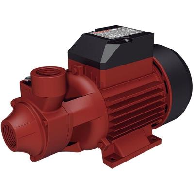 Bomba Periférica Bivolt Bpl-50 - 7413019 - Lorenzetti