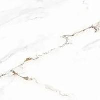 Piso Piso Forte Polux Plus 84x84 Retificado A - 5