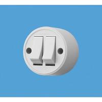 Interruptor Simples - 2 Teclas - 10a-250v - Cinza - Sobrepor - 2