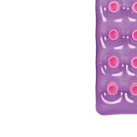 Colchão Inflável Mor Fashion