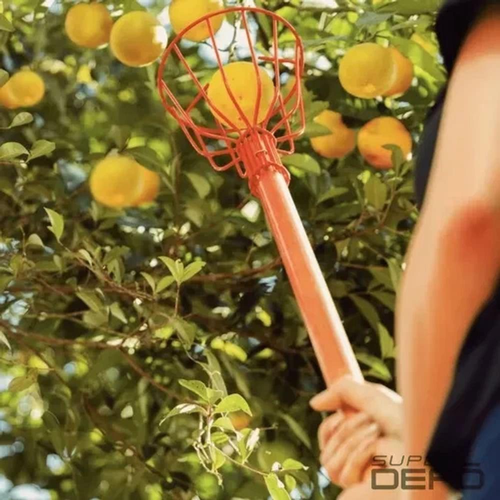 Colhedor De Frutas Médio Tramontina 77819-151 - 4