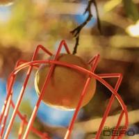 Colhedor De Frutas Médio Tramontina 77819-151 - 3