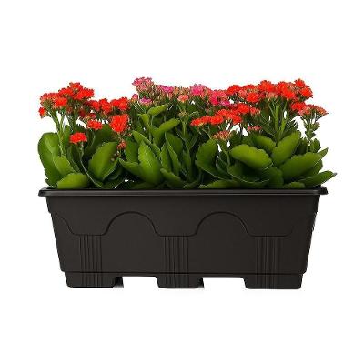 Floreira Retangular 10 L De Plástico Preto Para Jardins, Varandas E Hortas