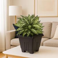Vaso Quadrado 16,5 L De Plástico Preto Para Plantas E Decoração - 2