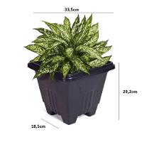 Vaso Quadrado 16,5 L De Plástico Preto Para Plantas E Decoração - 6