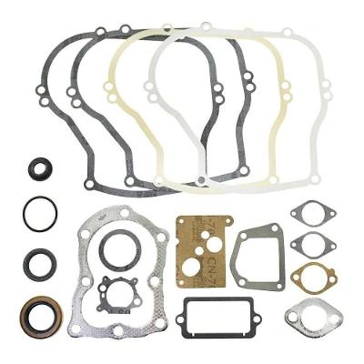 Jogo De Juntas E Retentores Motor 4hp 5hp Briggs Stratton