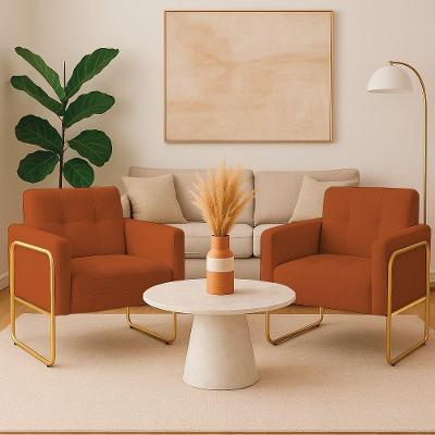 Poltrona Sala Industrial Alta Tubo Dourado Kit 2 Elisa Bouclê Terra D03 - D'rossi