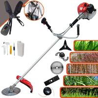 Roçadeira Cg430p Com Carretel + Facas 2p 3p 40d E Trimmer - 1