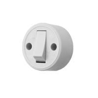 Interruptor Simples 10a-250v - Cinza - Sobrepor - 1