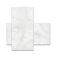 Porcelanato Helena Sottile Pol. 61x120 A - 1