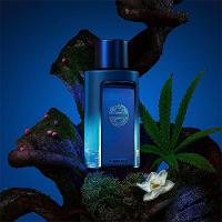 Kit Banderas The Icon Man Supreme Edp 100ml + Deo 150ml - 3