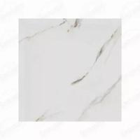 Porcelanato Savane Carrara Gold Acetinado 72x72 - 1