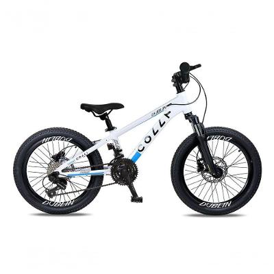 Bicicleta Aro 20 Colli Dublin Shimano 8v Branco