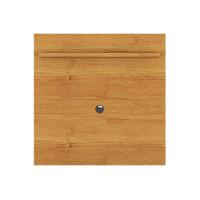 Painel Sirius 0.9 Com Prateleira Portas Para Tv Até 32 Polegadas Cinamomo - 1