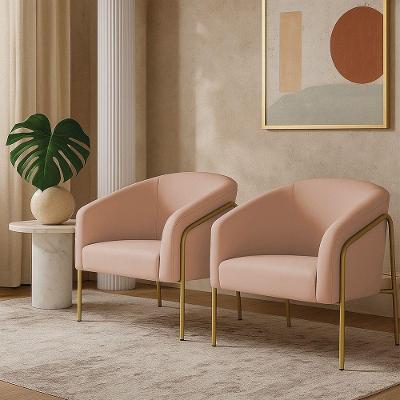 Kit 2 Poltronas Sala Industrial Alta Stella D03 Dourado Rosa Veludo D'Rossi
