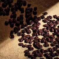 Dolce & Gabbana Devotion Pour Homme Parfum - Perfume Masculino 100ml - 5