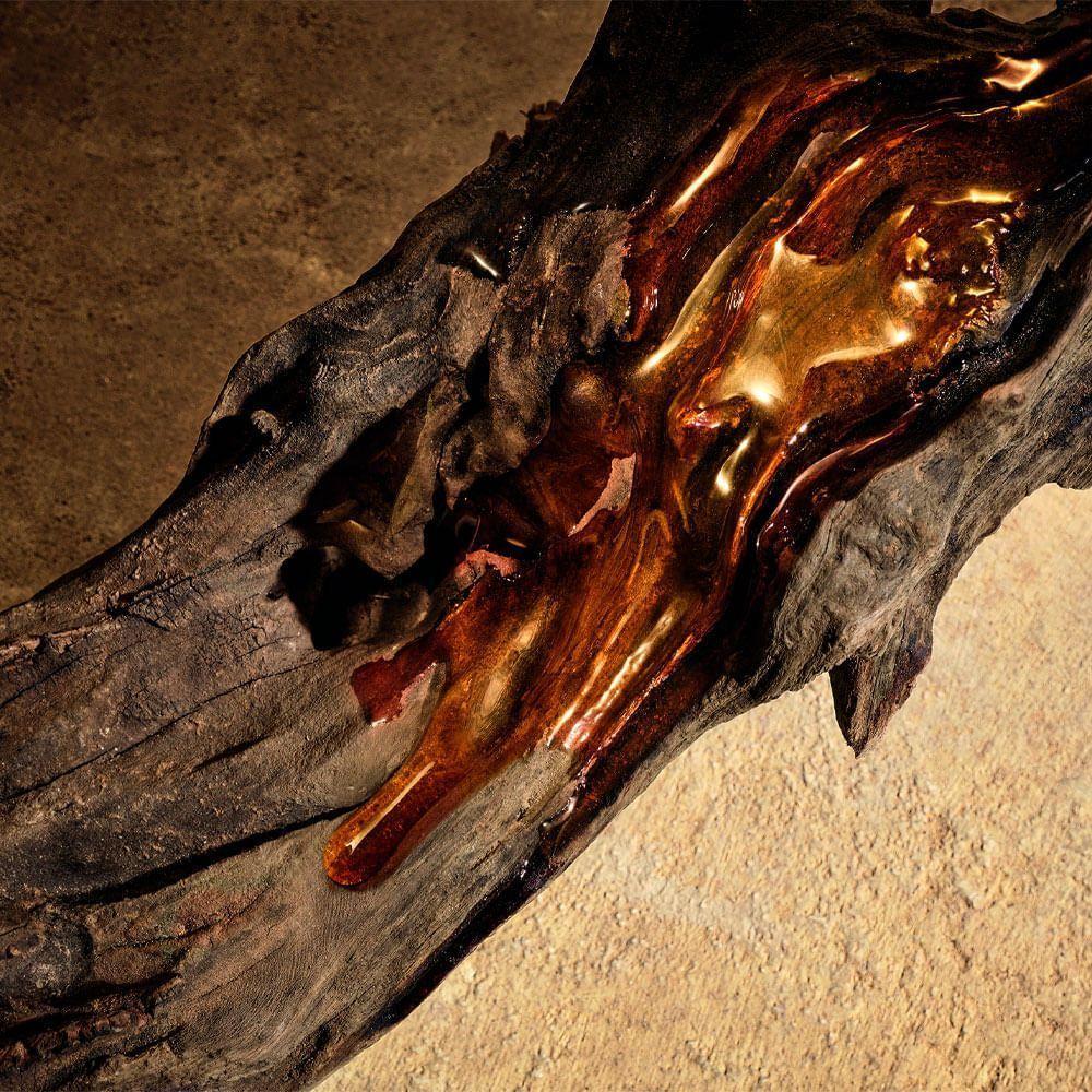 Dolce & Gabbana Devotion Pour Homme Parfum - Perfume Masculino 50ml - 6