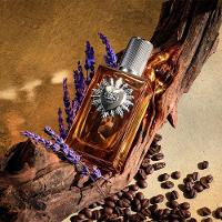 Dolce & Gabbana Devotion Pour Homme Parfum - Perfume Masculino 50ml - 3