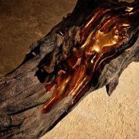 Dolce & Gabbana Devotion Pour Homme Parfum - Perfume Masculino 50ml - 6