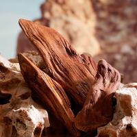 Dolce & Gabbana K Pour Homme Parfum - Perfume Masculino 100ml - 6