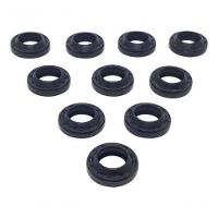 Anel Raspadorador 12 X 20 X 4/6 - Kit 10 Peças Karcher - 1